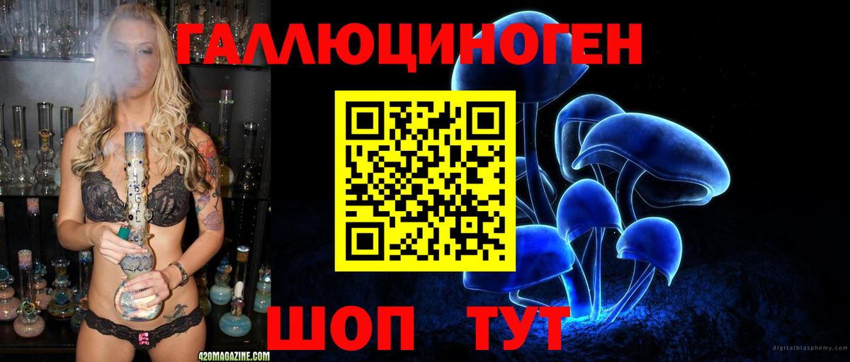 Галлюциногенные грибы Cubensis Павлово