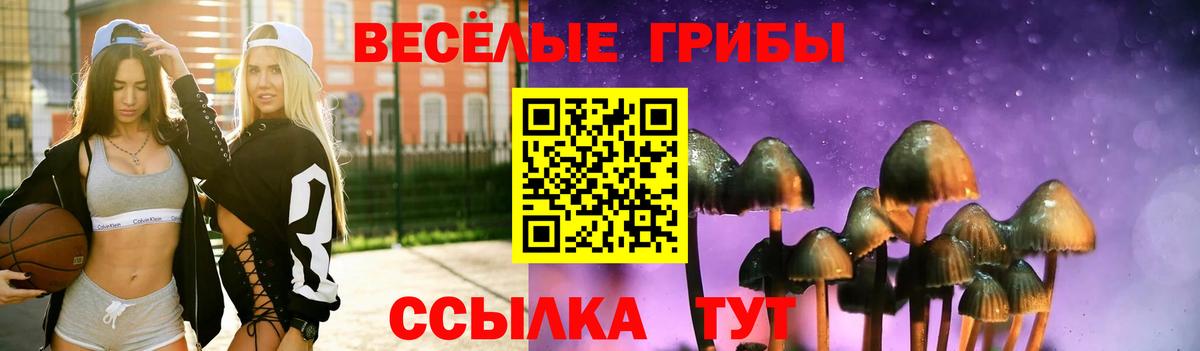Псилоцибиновые грибы Psilocybe  Псилоцибиновые грибы Psilocybe  Павлово  Вход с VPN 
